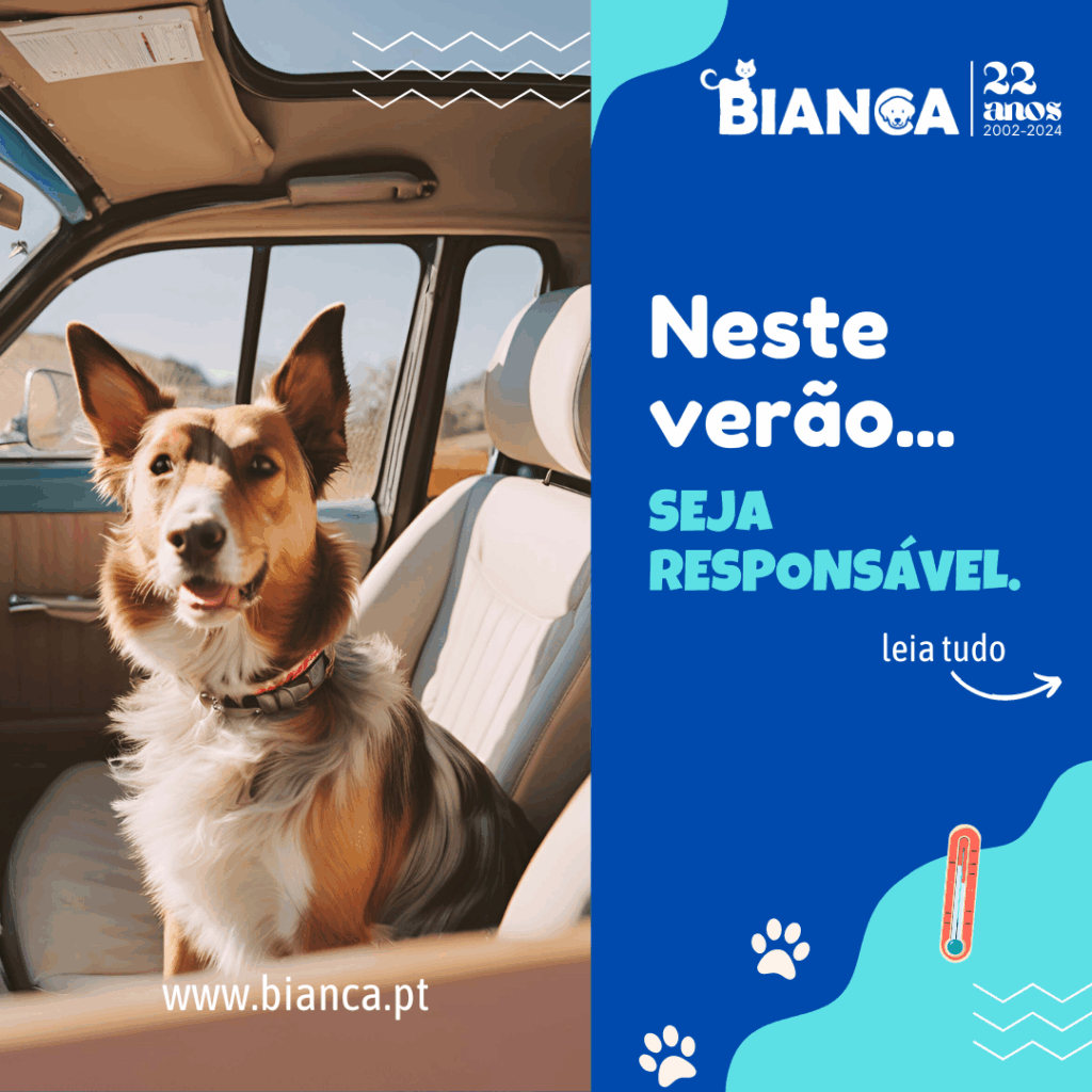 Neste-verao-2024