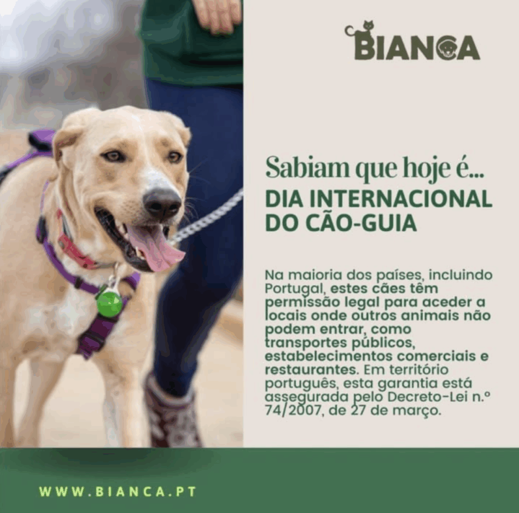 bianca campanha2